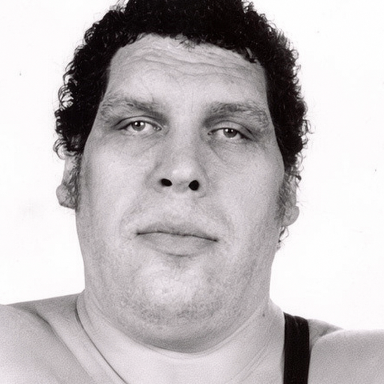 André the Giant