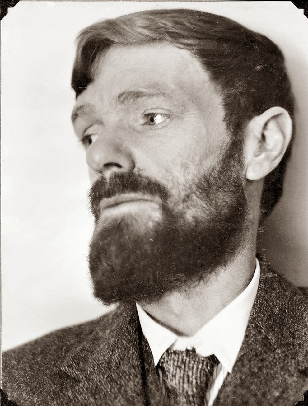 D.H. Lawrence