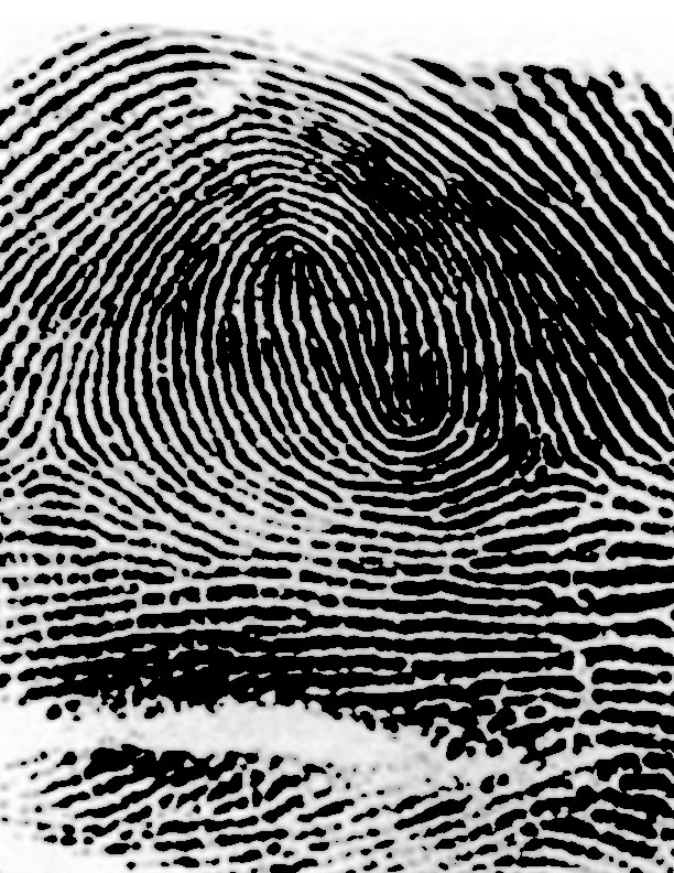 Fingerprintz by CWW III