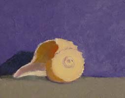 Marcia Mello  - Conch Shell